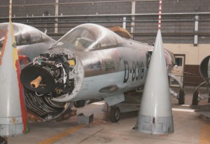 IMG (10)