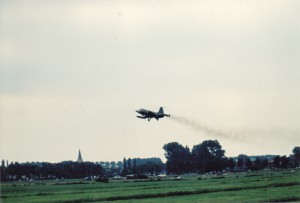 IMG (5) 